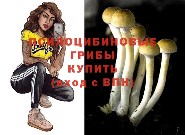 амф Алексеевка