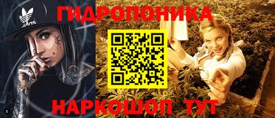 СК Славгород