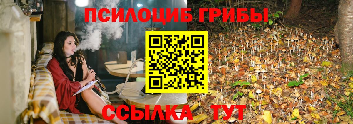Псилоцибиновые грибы мицелий Большой Камень
