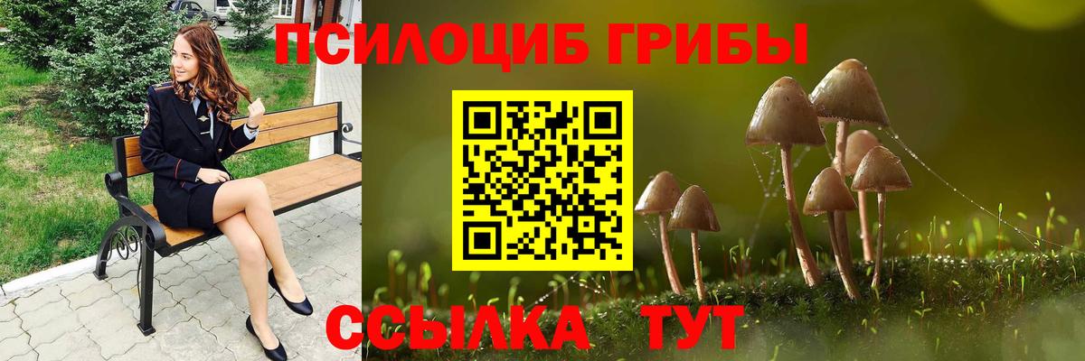 Большой Камень  Галлюциногенные грибы прущие грибы  Вход с VPN 