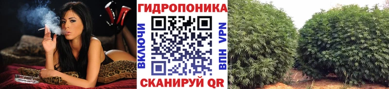 ОМГ ОМГ сайт  Большой Камень  дарк нет какой сайт  Каннабис планчик 